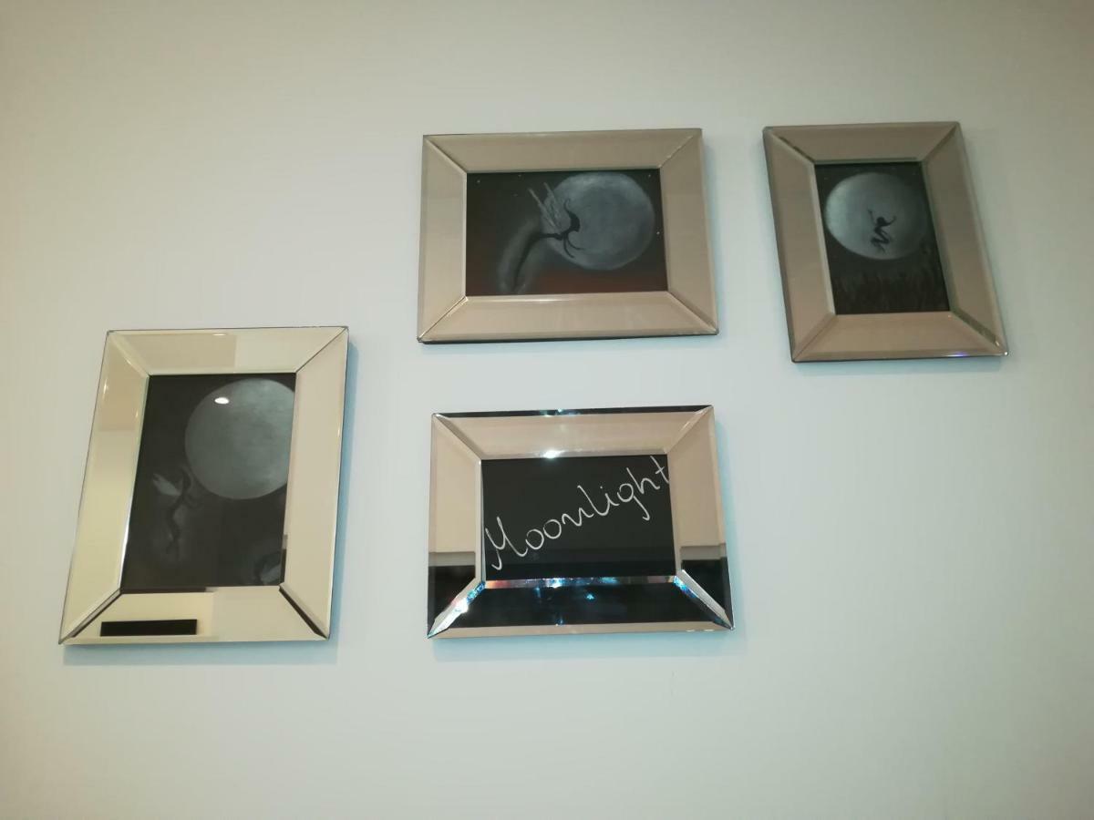 Moonlight Apartament Zielona Góra Dış mekan fotoğraf